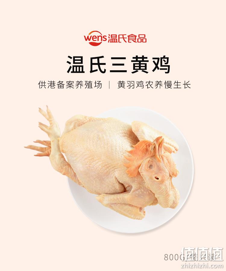 上市公司出品，温氏 土鸡农家散养三黄鸡 800g 29.35元包邮（拍2折27.93元/只） 值值值-买手聚集的地方