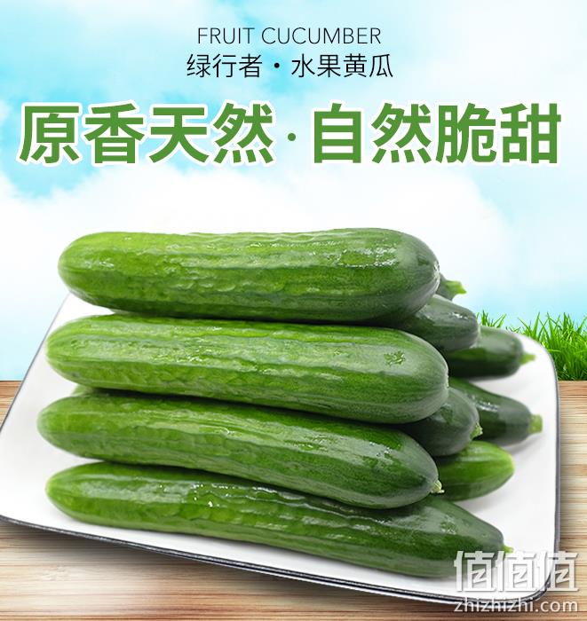 北京奥运会食材供应商，绿行者 荷兰水果黄瓜 5斤 21.9元包邮（需领券） 值值值-买手聚集的地方