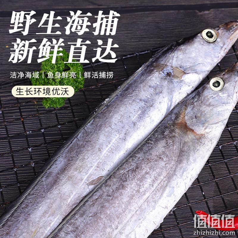 星渔 新鲜海捕冷冻长带鱼段5斤 69元包邮（需领券） 值值值-买手聚集的地方