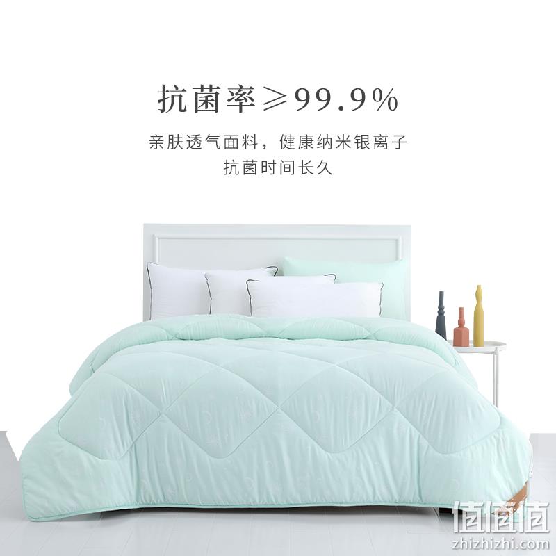 安睡宝 四孔抗菌纤维春秋被 69元包邮（冬被79元） 值值值-买手聚集的地方