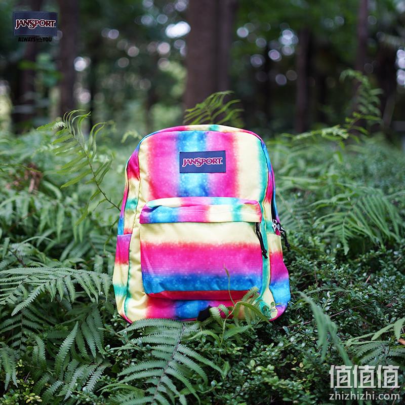 JanSport 杰斯伯 T501 个性印花双肩背包 95.4元包邮(双重优惠) 值值值-买手聚集的地方