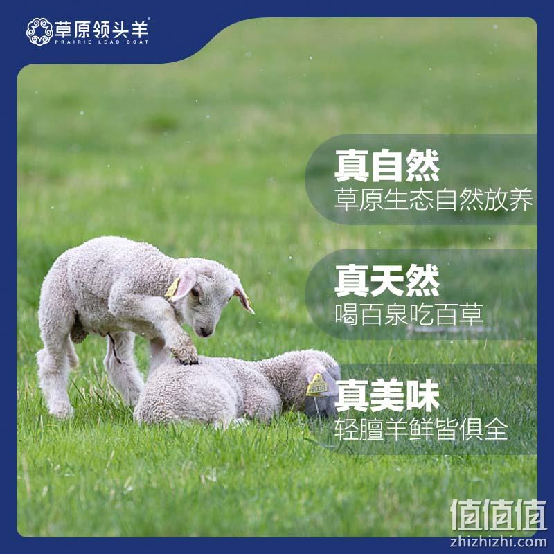 草原领头羊 原切新鲜半羊礼盒10斤（羊前腿1kg+羊蝎子1.5kg+羊排1kg+羊后腿1.5kg） 349元包邮（需领券） 值值值-买手聚集的地方