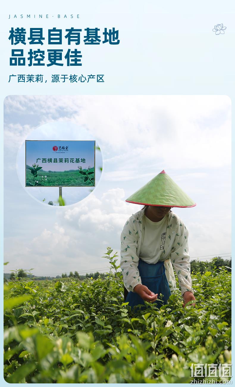 杭州亚运会官方指定用茶，艺福堂 2022新茶 特级茉莉香雪花茶 250g 新低33.1元包邮（双重优惠） 值值值-买手聚集的地方