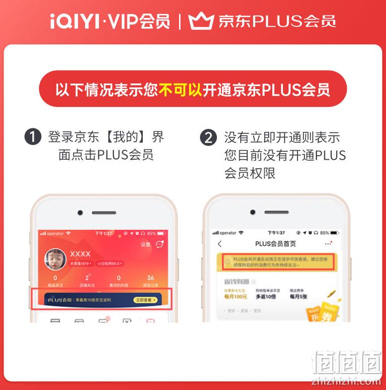 爱奇艺 VIP黄金会员年卡12个月+京东PLUS会员年卡12个月 148元秒充 值值值-买手聚集的地方
