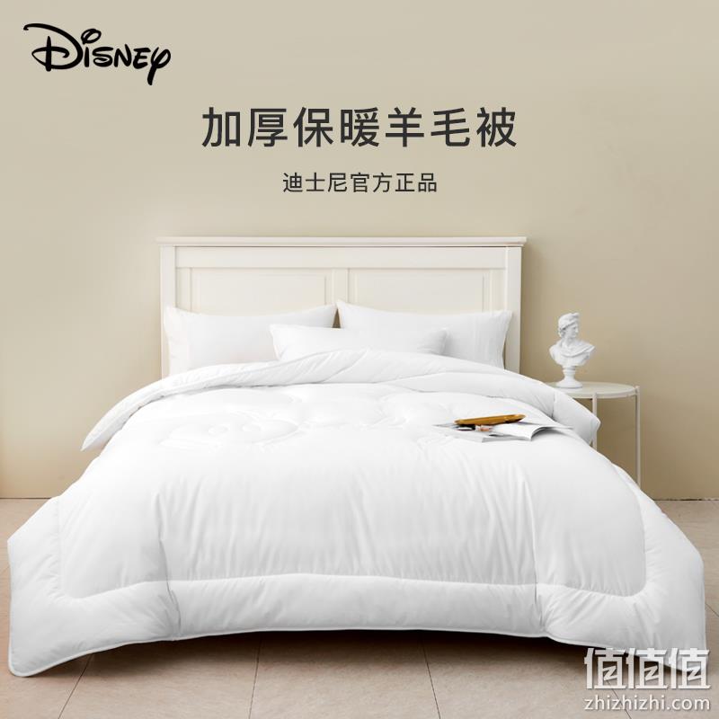 A类标准，Disney 迪士尼 澳洲羊毛加厚被芯 两尺寸同价 158元包邮（需领券） 值值值-买手聚集的地方