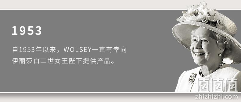 英国皇室266年品牌，Wolsey 男士高尔夫长袖T恤运动卫衣 2色 史低139元包邮（需领券） 值值值-买手聚集的地方
