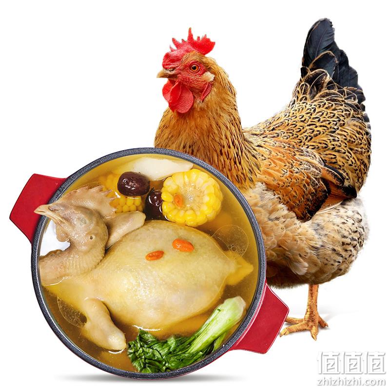 上市公司出品，温氏 天露老母鸡 1.2kg*4件+赠洋葱圈800g*2件 151.6元包邮（37.9元/件） 值值值-买手聚集的地方