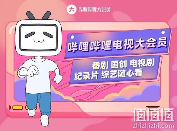 哔哩哔哩电视大会员 12个月（支持电视/电脑/手机/平板） 148元 值值值-买手聚集的地方