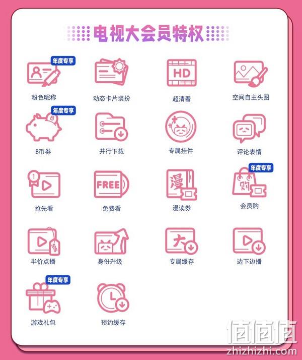 哔哩哔哩电视大会员 12个月（支持电视/电脑/手机/平板） 148元 值值值-买手聚集的地方