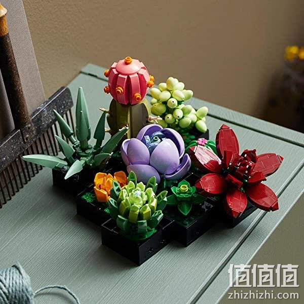 LEGO 乐高 植物收藏系列 10309 多肉植物 771颗粒 293.56元 值值值-买手聚集的地方