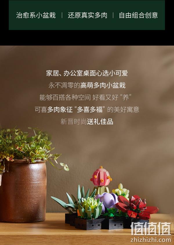 LEGO 乐高 植物收藏系列 10309 多肉植物 771颗粒 293.56元 值值值-买手聚集的地方