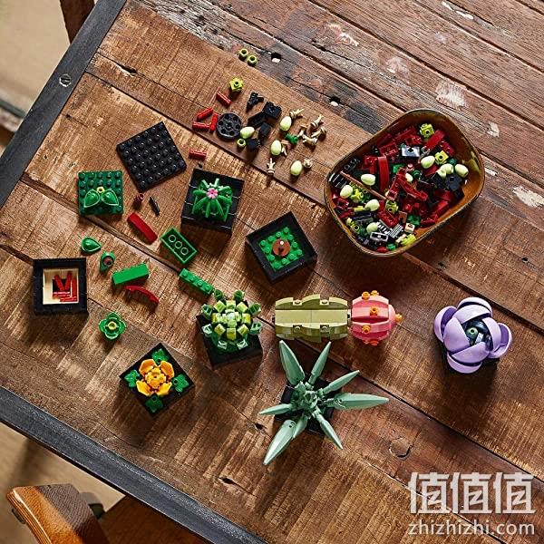 LEGO 乐高 植物收藏系列 10309 多肉植物 771颗粒 293.56元 值值值-买手聚集的地方