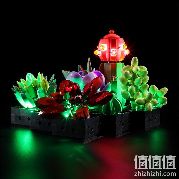 LEGO 乐高 植物收藏系列 10309 多肉植物 771颗粒 293.56元 值值值-买手聚集的地方