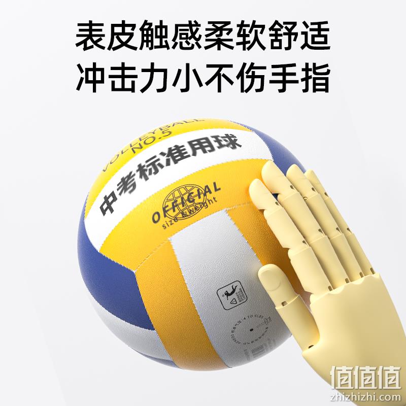 Henboo 恒博 中考学生专用排球 9.8元包邮起（需领券） 值值值-买手聚集的地方