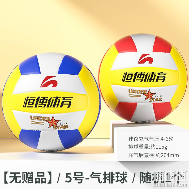 Henboo 恒博 中考学生专用排球 9.8元包邮起（需领券） 值值值-买手聚集的地方
