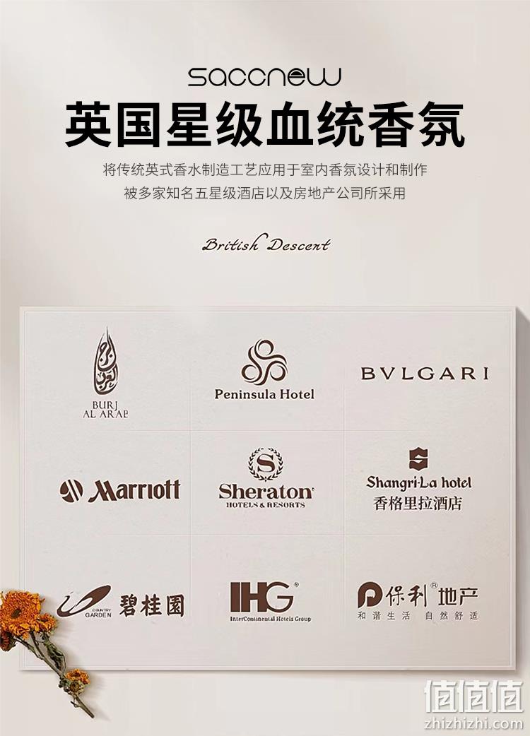 Saccnew 五星级酒店定制精油香薰 500ml 多款香型 9.9元包邮(需领券) 值值值-买手聚集的地方
