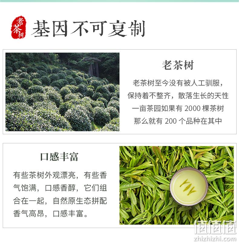正宗原产地，梅府茗家 2022新茶豆香雨前二级醇香龙井茶 250g 史低58元包邮（需领券） 值值值-买手聚集的地方
