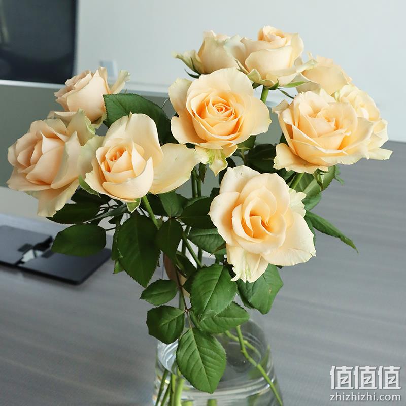 盒马 源生鲜 云南基地直供 随机色玫瑰花鲜花速递 10支 23.9元包邮（需领券） 值值值-买手聚集的地方