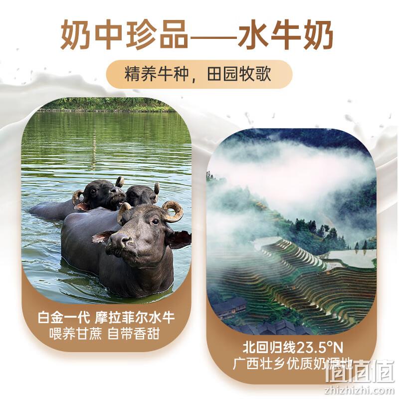 皇氏水牛 3.8g乳蛋白低脂纯牛奶水牛奶 200ml*12盒 29.9元包邮（双重优惠） 值值值-买手聚集的地方