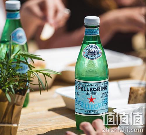 S.PELLECRINO 圣培露 充气天然矿泉水 500ml*24瓶 89元包邮（需领券） 值值值-买手聚集的地方