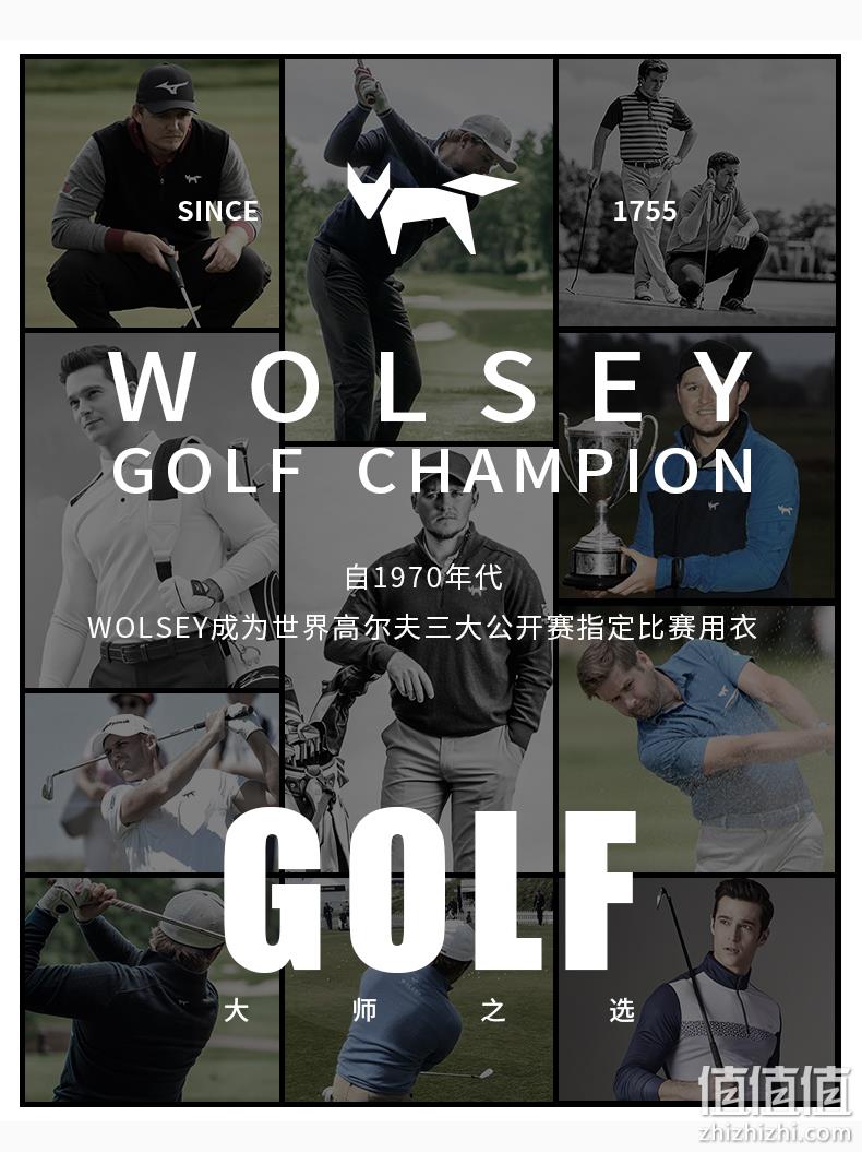 降￥60！英国皇室266年品牌，Wolsey 男士60S长绒棉高尔夫长袖立领/翻领Polo衫 多色 新低139元包邮（需领券） 值值值-买手聚集的地方