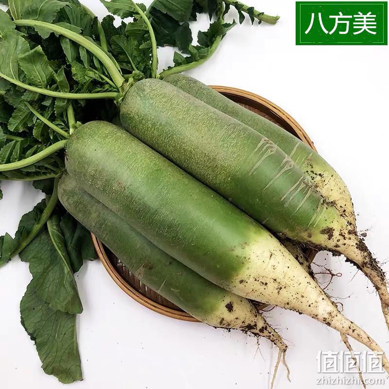 八方美 寿光新鲜水果萝卜 5斤 新低9.9元包邮（需领券） 值值值-买手聚集的地方