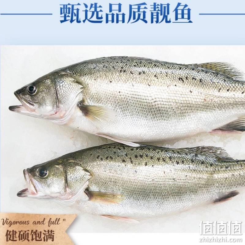 鱼誓 新鲜三去白蕉海鲈鱼 净重500g*2件 58.8元包邮（需领券） 值值值-买手聚集的地方