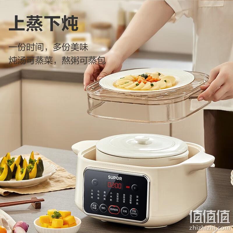 Plus会员，Supor 苏泊尔 DZ25FC859 电炖锅 199元包邮（双重优惠） 值值值-买手聚集的地方