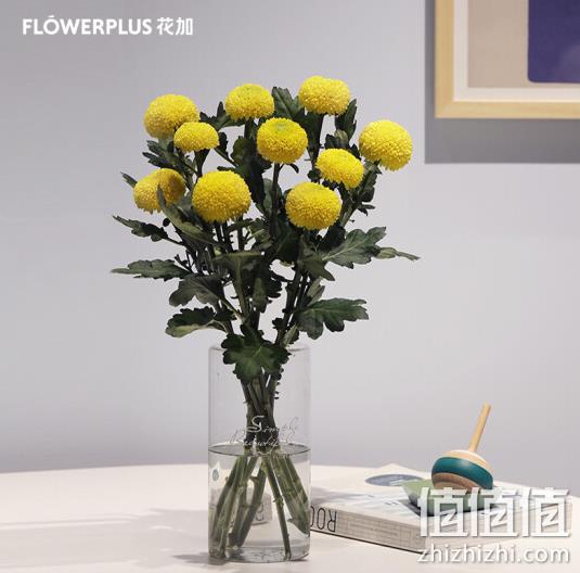 FlowerPlus 花加 简花单品鲜花 28.9元包邮（需领券） 值值值-买手聚集的地方