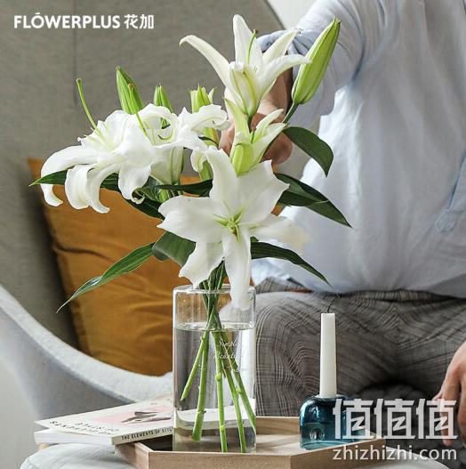FlowerPlus 花加 简花单品鲜花 28.9元包邮（需领券） 值值值-买手聚集的地方