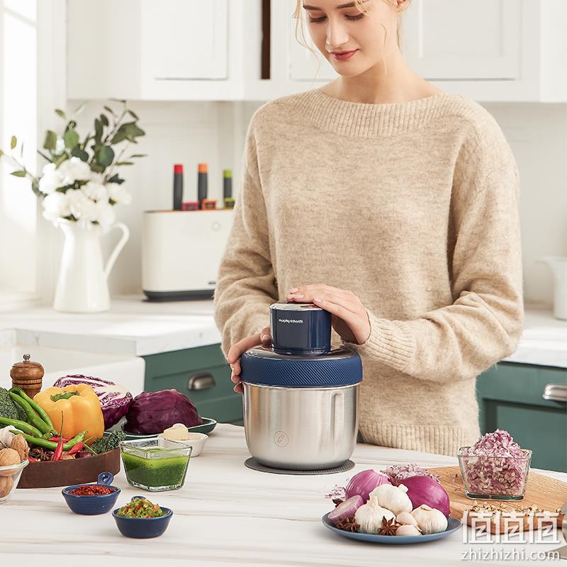 MORPHY RICHARDS 摩飞 MR9401 家用电动小型多功能料理机 198元包邮（双重优惠） 值值值-买手聚集的地方