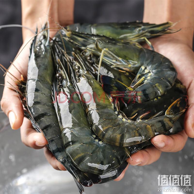 万景 鲜京采 北海活冻黑虎虾（大号31-40只）净重1kg 79元包邮 值值值-买手聚集的地方