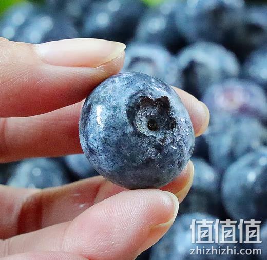 粮心牧场 云南高山蓝莓 12mm+中大果 125g/盒*4件 44.9元包邮（需领券） 值值值-买手聚集的地方