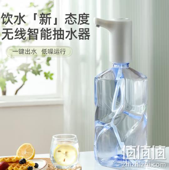 荣事达 上水器自动抽水器 RS-CS08A 24.9元包邮（需领券） 值值值-买手聚集的地方