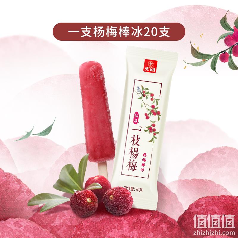 果汁含量≥30%，光明 仙居一枝杨梅棒冰 30支 新低89元包邮（需领券） 值值值-买手聚集的地方
