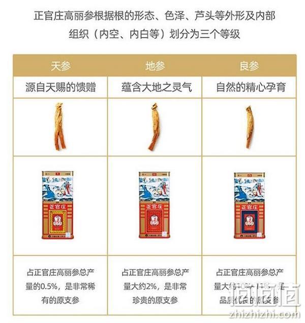 韩国进口 正官庄牌 高丽红参6年根人参[良字]50支 37.5g 送随参饮纯10g*10条 258.1元包邮 值值值-买手聚集的地方