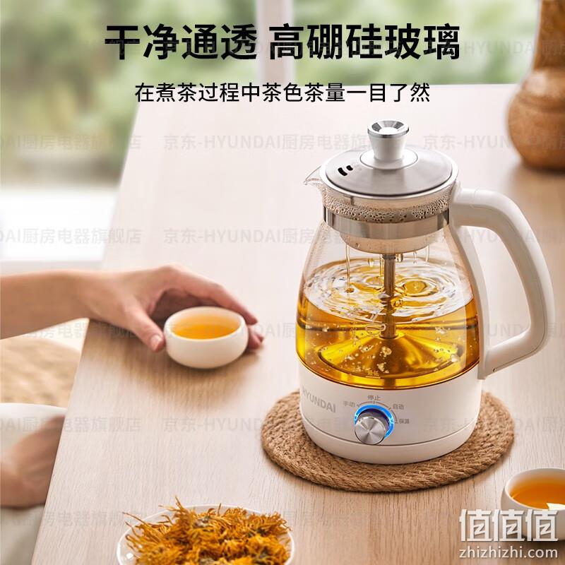 Hyundai 现代 QC-ZC1017 多功能煮茶器/养生壶1L 配不锈钢滤网 69元包邮（需用券） 值值值-买手聚集的地方