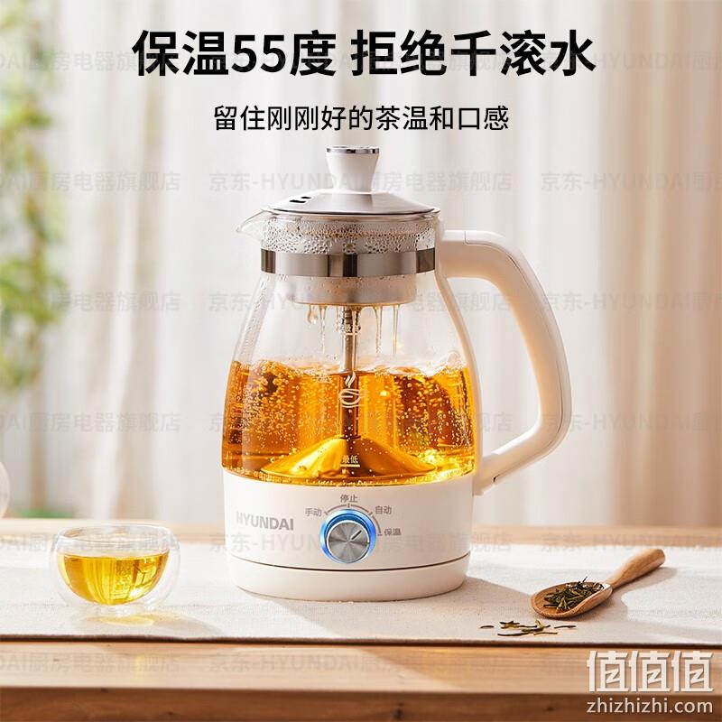 Hyundai 现代 QC-ZC1017 多功能煮茶器/养生壶1L 配不锈钢滤网 69元包邮（需用券） 值值值-买手聚集的地方