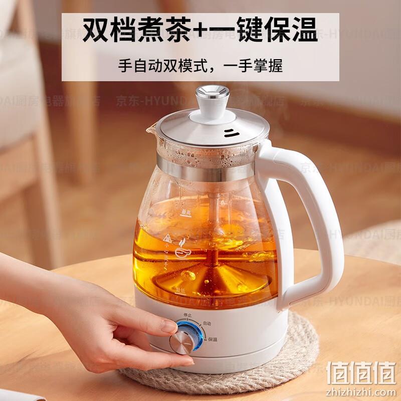 Hyundai 现代 QC-ZC1017 多功能煮茶器/养生壶1L 配不锈钢滤网 69元包邮（需用券） 值值值-买手聚集的地方