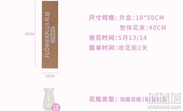 母亲节送货，FlowerPlus 花加 小幸福系列 鲜花花束+花瓶套餐 49.9元包邮（需领券） 值值值-买手聚集的地方