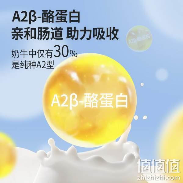 澳洲进口，NEPEAN RIVER DAIRY 尼平河 A2β-酪蛋白全脂纯牛奶 200ml*10盒 30.9元包邮（需领券） 值值值-买手聚集的地方