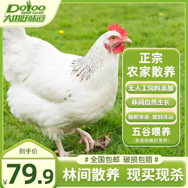 大用好味道 农家散养走地鸡 730g*4只 74.9元包邮（18.7元/只） 值值值-买手聚集的地方