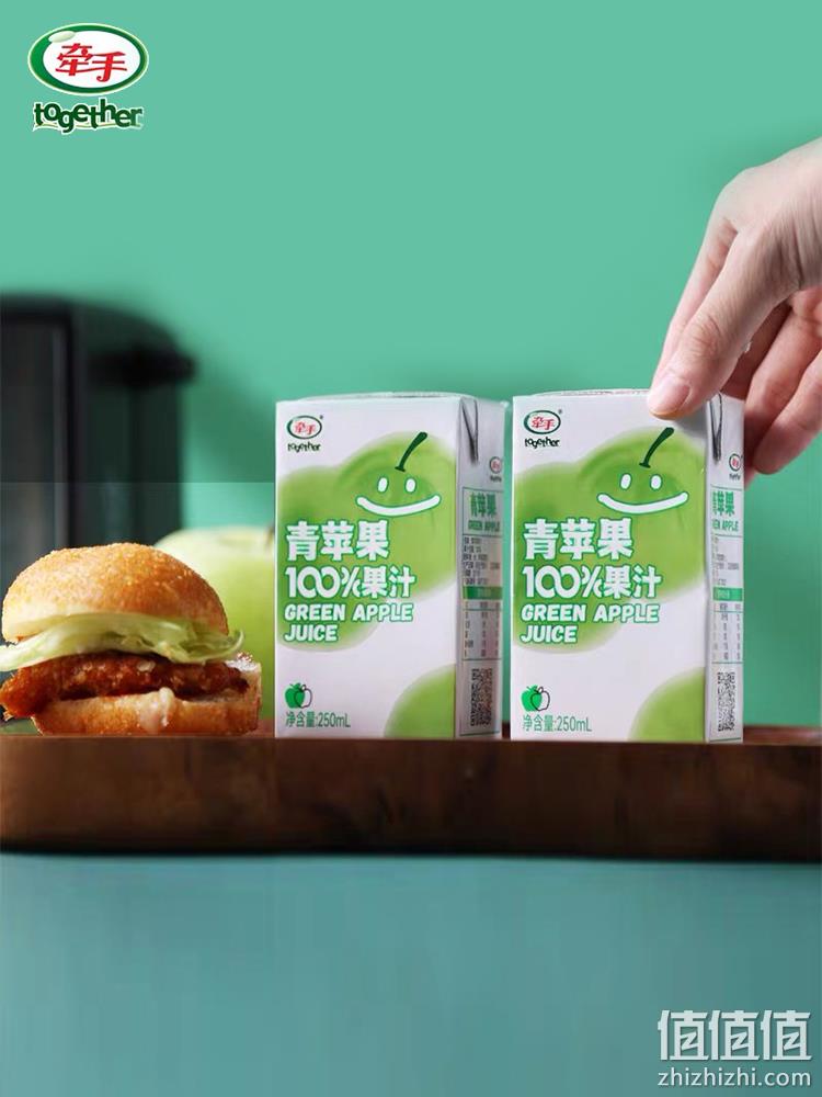 牵手 100%青苹果果汁饮料 250ml*10盒 29.9元包邮（需领券） 值值值-买手聚集的地方