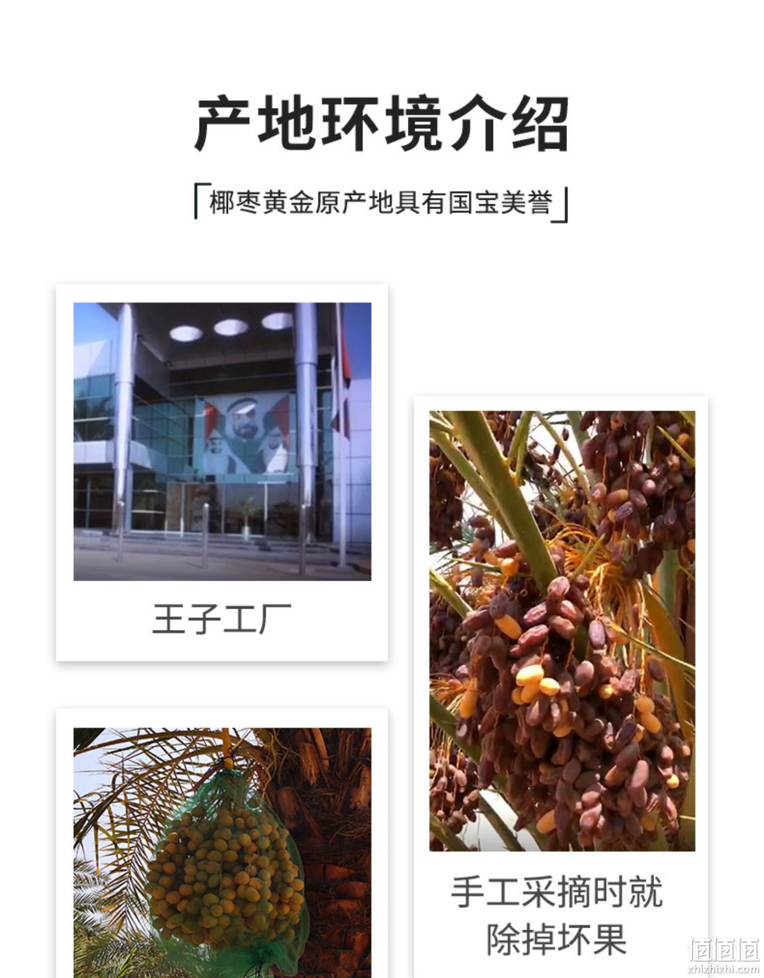 臻味 阿联酋椰枣 560g*1罐+越南紫衣腰果 508g*1罐 83.8元包邮（需领券） 值值值-买手聚集的地方