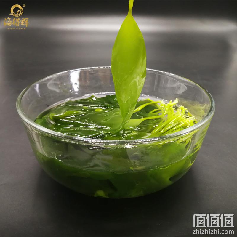 海得辉 新鲜盐渍海带苗 500g*2袋 14.6元包邮（需领券） 值值值-买手聚集的地方
