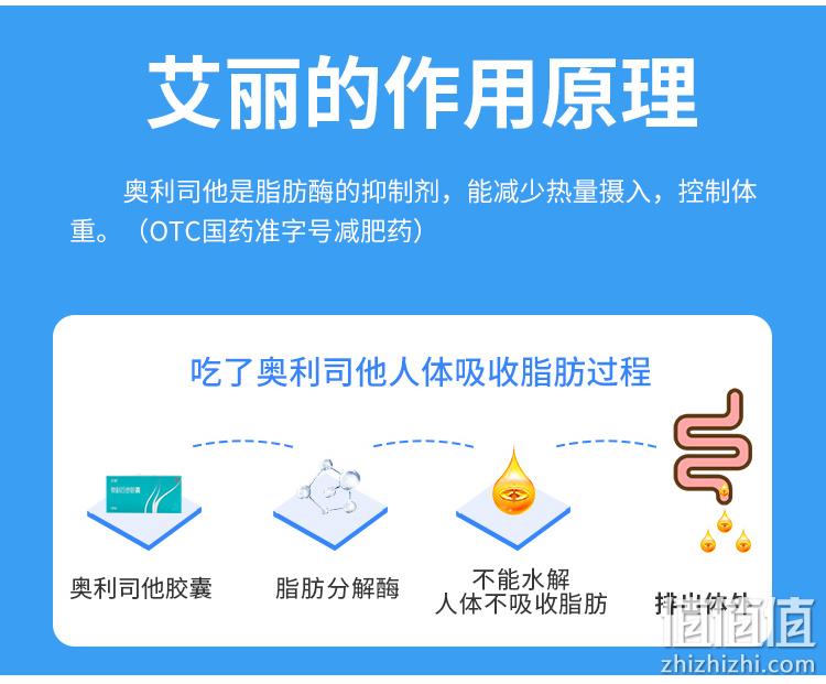 艾丽 奥利司他减脂排油胶囊 60mg*24粒装 28.2元包邮（需领券） 值值值-买手聚集的地方