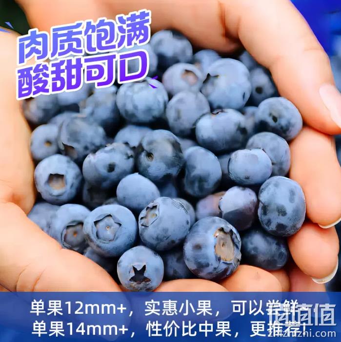 阿里旗下，源生鲜 山东蓝莓 125g*8盒 78.9元包邮（需领券） 值值值-买手聚集的地方