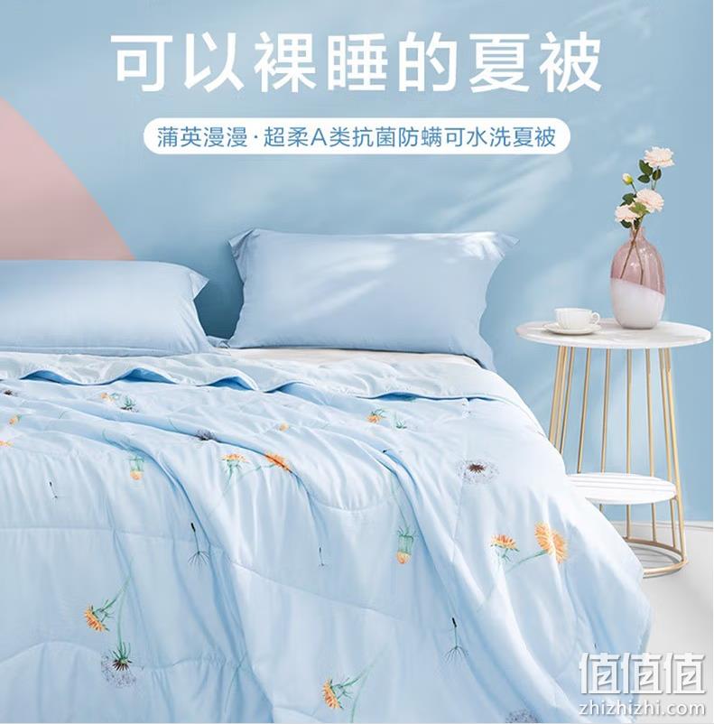 LOVO 罗莱家纺 超柔A类抗菌防螨可水洗夏凉被空调被 200*230cm 59元包邮（多重优惠） 值值值-买手聚集的地方