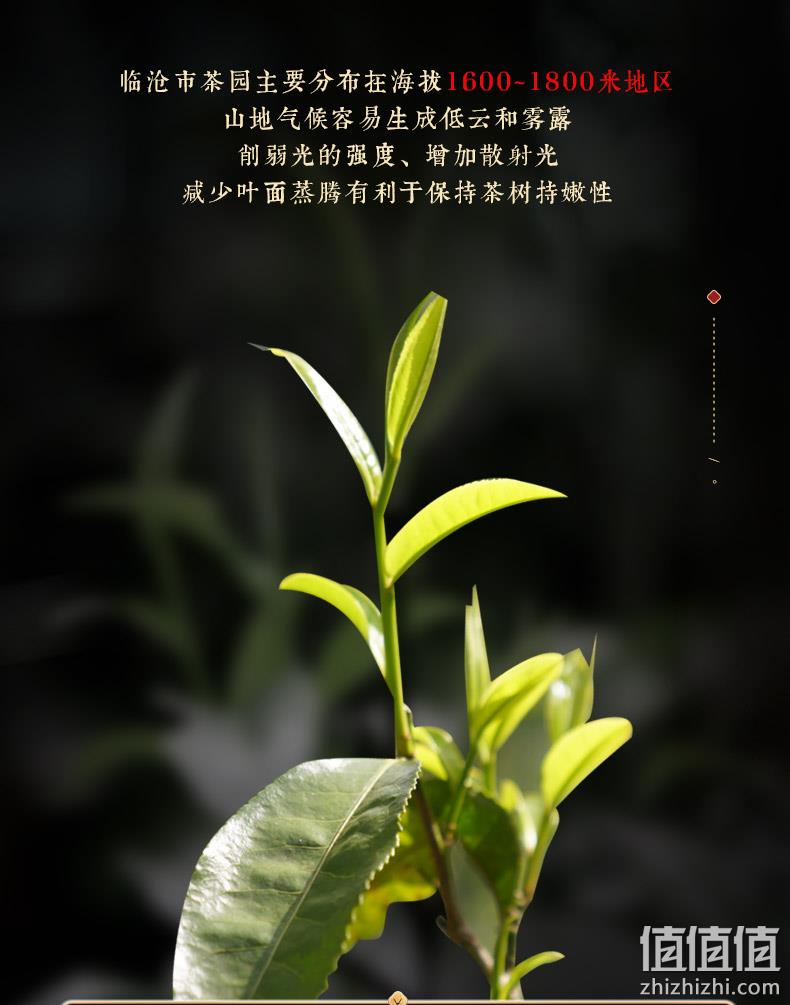 虎标 春韵青饼普洱生茶 357g 新低87.3元包邮（双重优惠） 值值值-买手聚集的地方