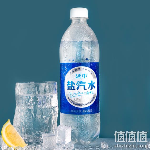 上海老牌，延中 盐汽水600mL*20瓶 整箱装 39.9元包邮（需领券） 值值值-买手聚集的地方